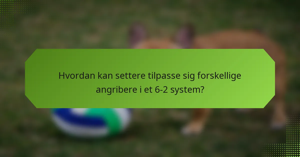 Hvordan kan settere tilpasse sig forskellige angribere i et 6-2 system?